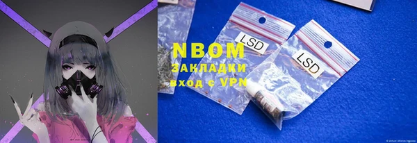 PSILOCYBIN Бородино